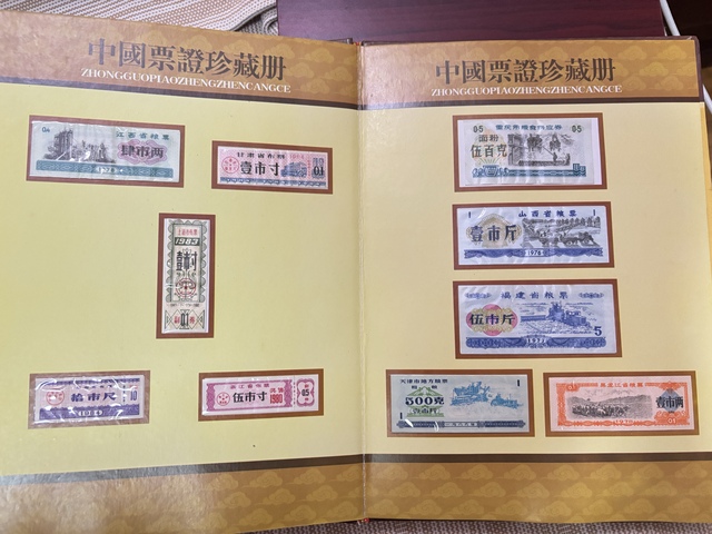 古玩錢幣中國票證珍藏冊真品鑒賞圖