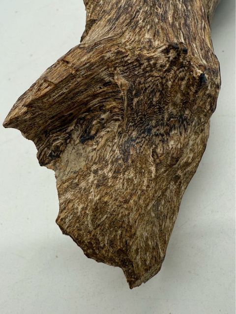 古玩雜項(xiàng)沉香真品鑒賞圖