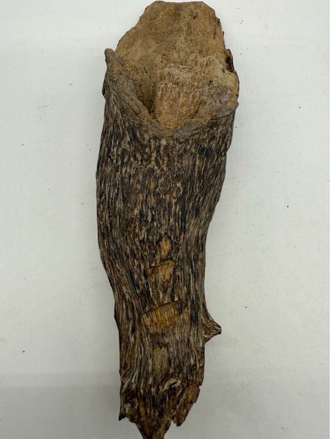 古玩雜項(xiàng)沉香真品鑒賞圖