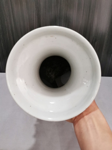 古玩陶瓷花鳥紋青花雙對獅耳盤口瓶真品鑒賞圖