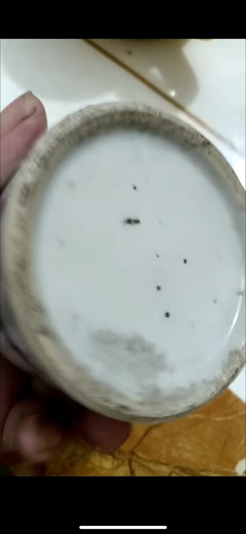 古玩陶瓷晚清青花水盂真品鑒賞圖