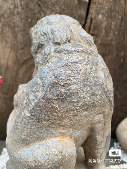 古玩雜項(xiàng)石獅真品鑒賞圖