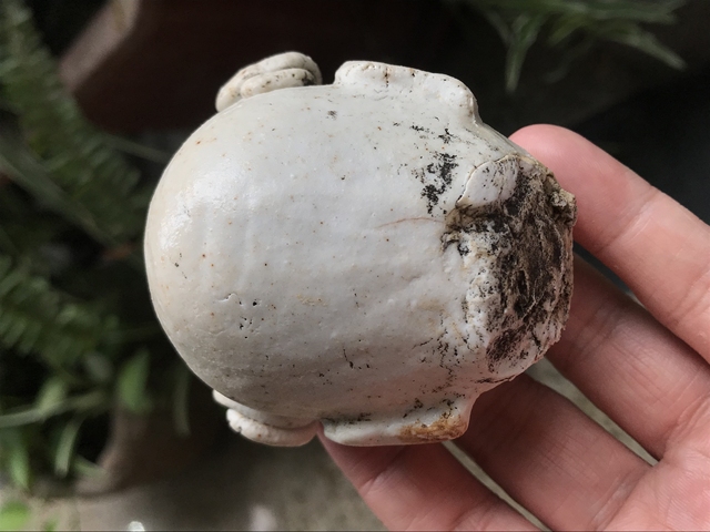古玩陶瓷元明時期素胎童子造像真品鑒賞圖