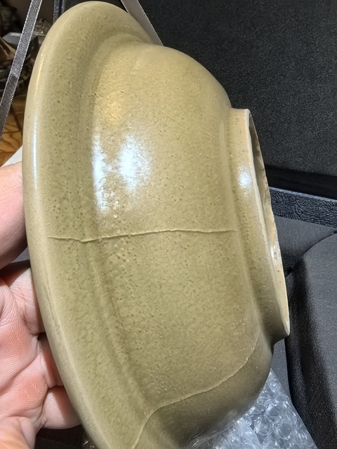 古玩陶瓷龍泉盤真品鑒賞圖