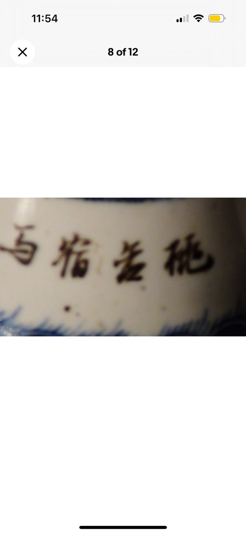 古玩陶瓷青花淺絳彩花鳥壺真品鑒賞圖
