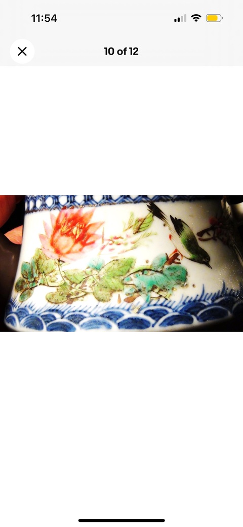 古玩陶瓷青花淺絳彩花鳥壺真品鑒賞圖