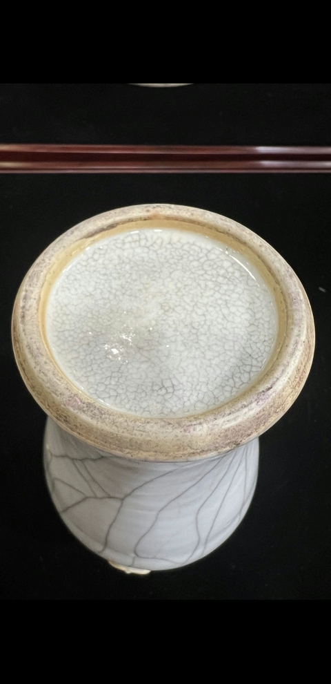 古玩陶瓷雙鋪首撇口瓶真品鑒賞圖