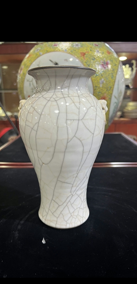 古玩陶瓷雙鋪首撇口瓶真品鑒賞圖