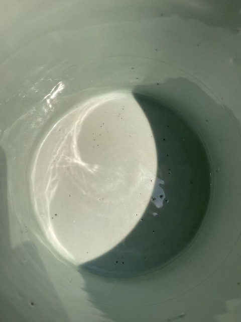 古玩陶瓷青花山水筆筒真品鑒賞圖