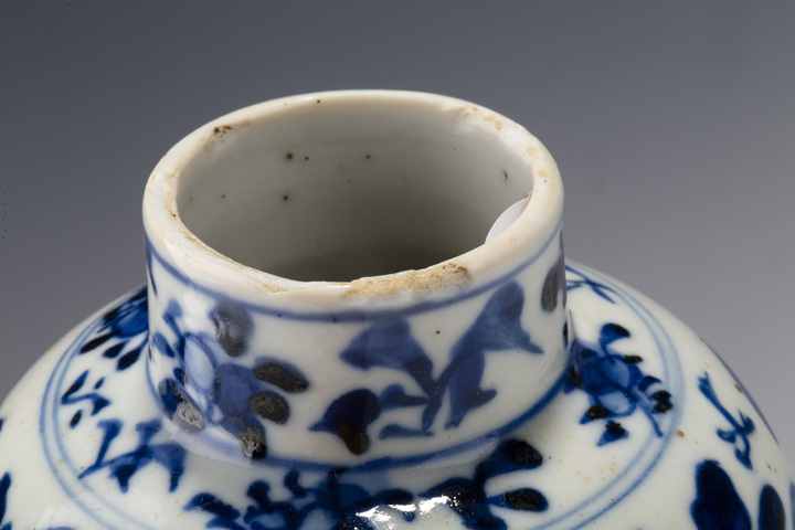 古玩陶瓷清晚·青花花鳥紋雞腿瓶
真品鑒賞圖