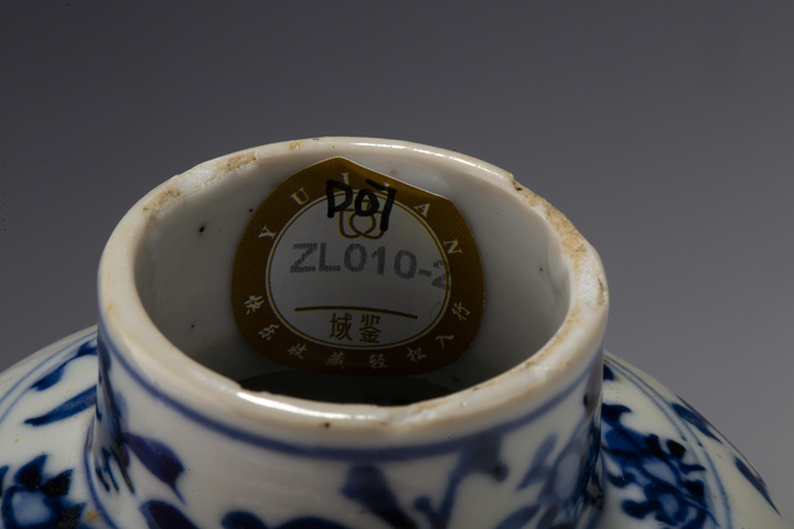古玩陶瓷清晚·青花花鳥紋雞腿瓶
真品鑒賞圖