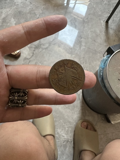 古玩錢幣十.文銅元真品鑒賞圖