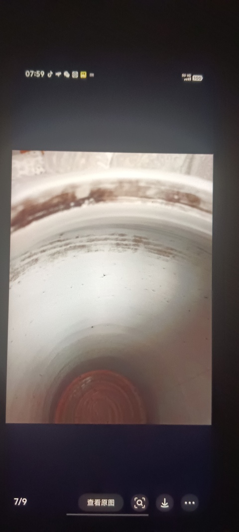 古玩陶瓷青花留白梅紋開光博古圖鳳尾尊標本真品鑒賞圖