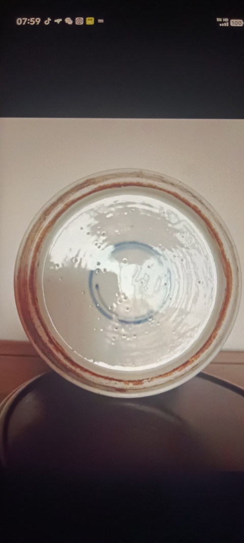古玩陶瓷青花留白梅紋開光博古圖鳳尾尊標本真品鑒賞圖