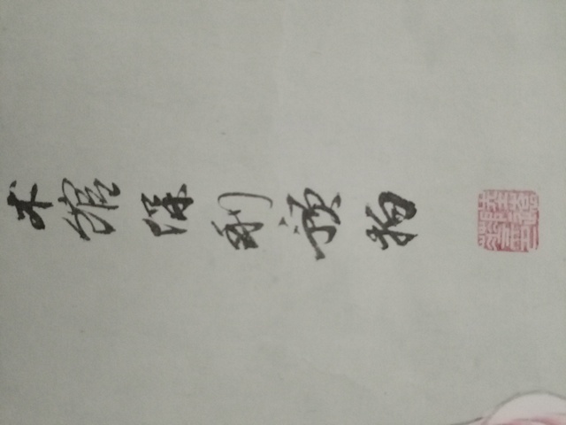 古玩字畫端蓮寶相真品鑒賞圖