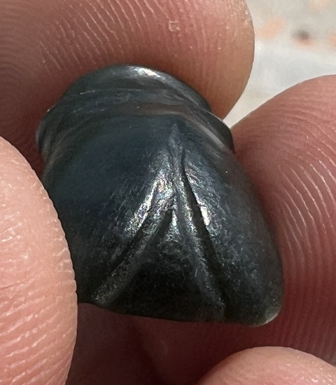 古玩玉器地方料甲殼蟲掛件真品鑒賞圖