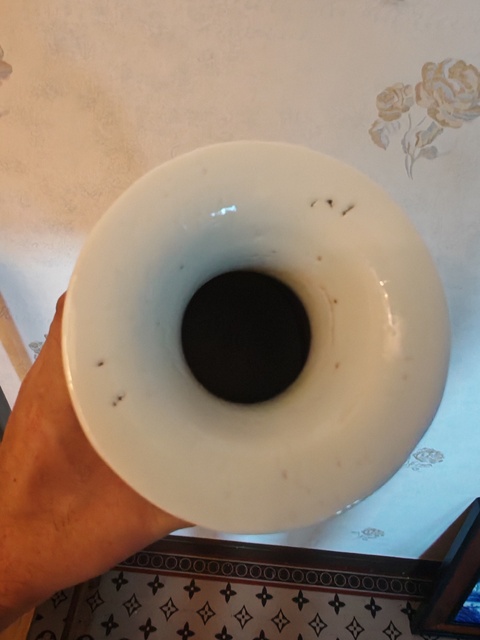 古玩陶瓷青花趕珠龍紋撇口瓶真品鑒賞圖