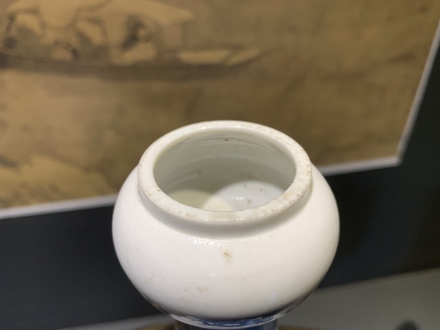 古玩陶瓷獅紋青花蒜頭瓶真品鑒賞圖