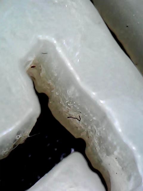 古玩玉器明清玉件真品鑒賞圖