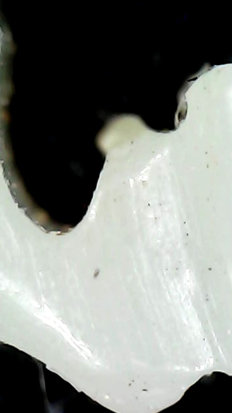 古玩玉器明清玉件真品鑒賞圖