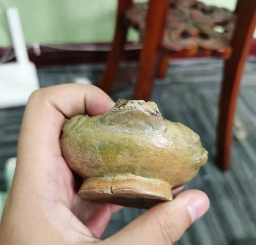 古玩陶瓷越窯青瓷蛙型水盂真品鑒賞圖