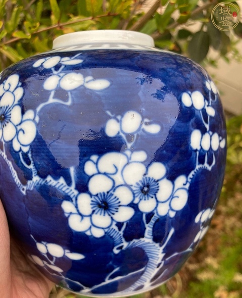古玩陶瓷光緒青花冰梅罐拍賣,當前價格1200元