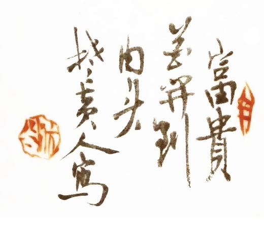 古玩陶瓷淺絳彩花鳥壁瓶真品鑒賞圖
