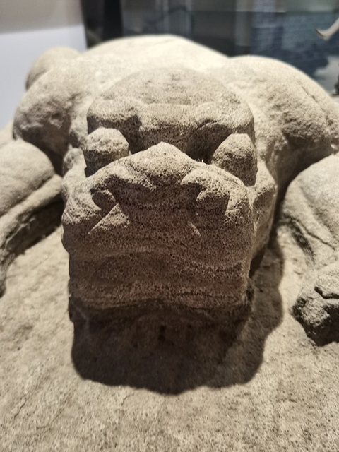 古玩雜項趴獸真品鑒賞圖