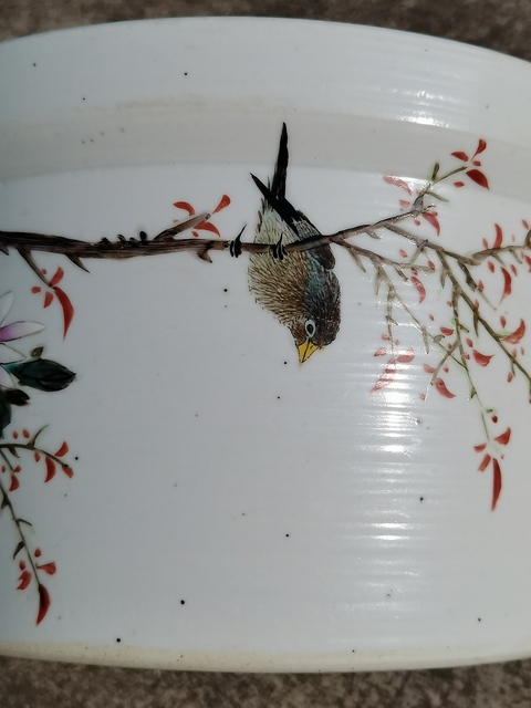 古玩陶瓷花鳥紋筆洗真品鑒賞圖