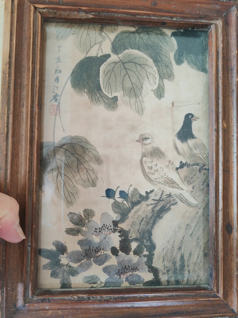 古玩字畫花鳥真品鑒賞圖