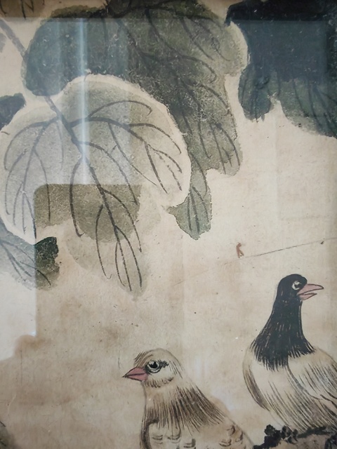 古玩字畫花鳥真品鑒賞圖
