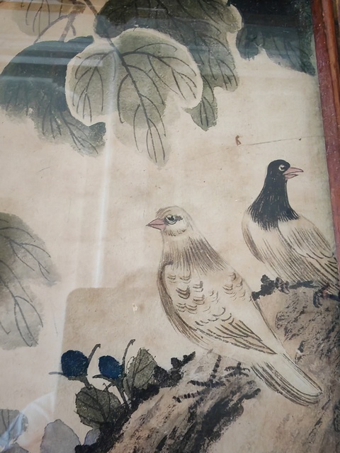 古玩字畫花鳥真品鑒賞圖
