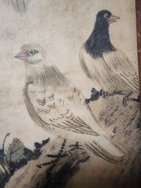 古玩字畫花鳥真品鑒賞圖