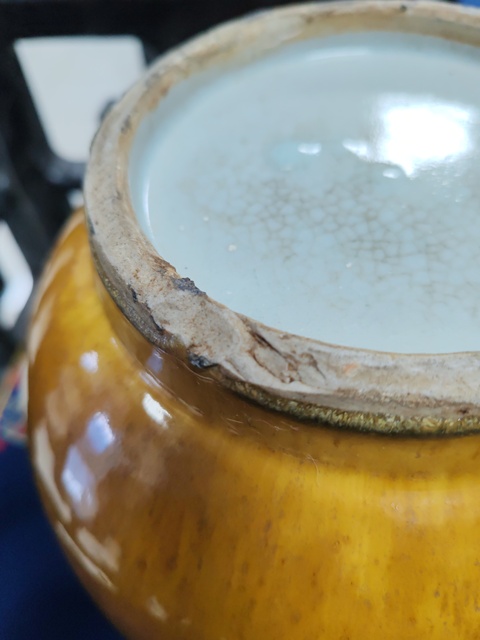 古玩陶瓷雙象鼻耳黃釉尊真品鑒賞圖