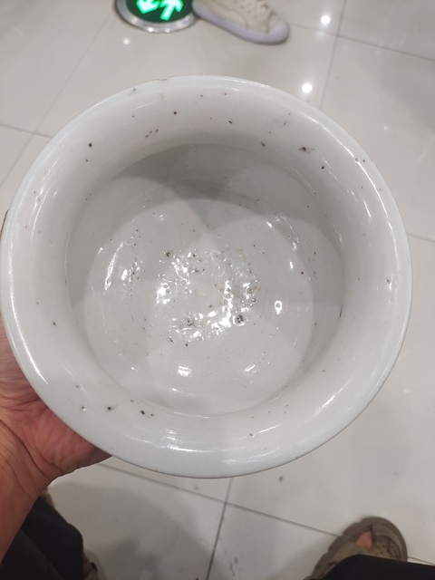 古玩陶瓷青花纏枝花卉紋香爐真品鑒賞圖