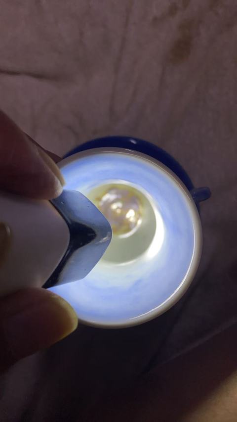 古玩陶瓷天藍釉暗刻花卉紋雙耳瓶真品鑒賞圖