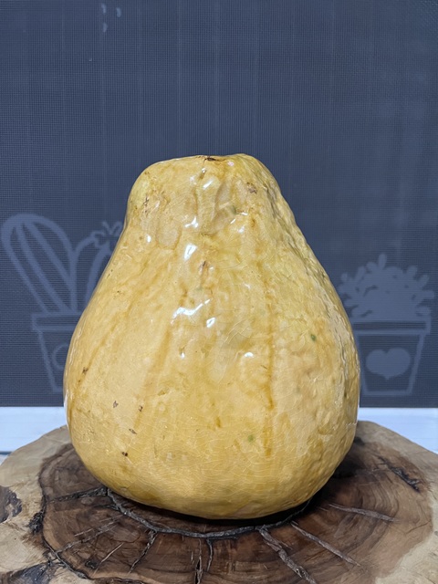古玩陶瓷黃釉柚子瓷塑擺件真品鑒賞圖