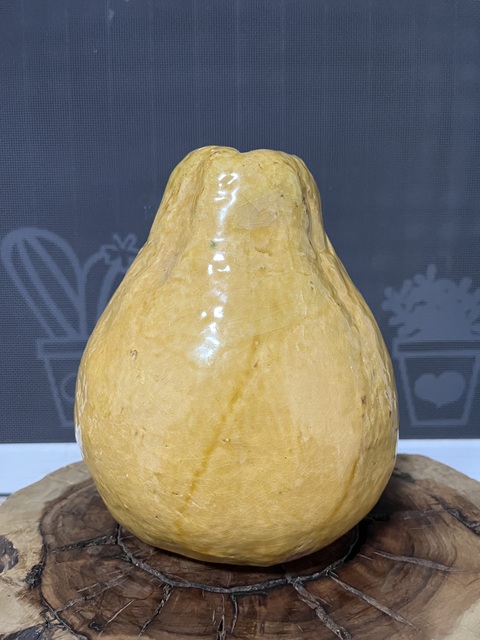 古玩陶瓷黃釉柚子瓷塑擺件真品鑒賞圖