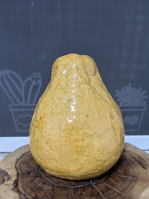 古玩陶瓷黃釉柚子瓷塑擺件真品鑒賞圖