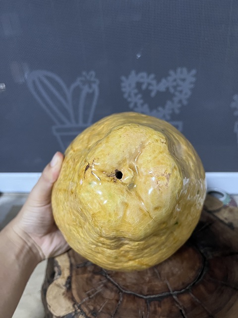 古玩陶瓷黃釉柚子瓷塑擺件真品鑒賞圖