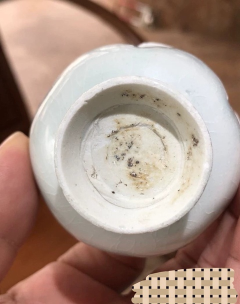 古玩陶瓷湖田窯青白釉花口杯真品鑒賞圖
