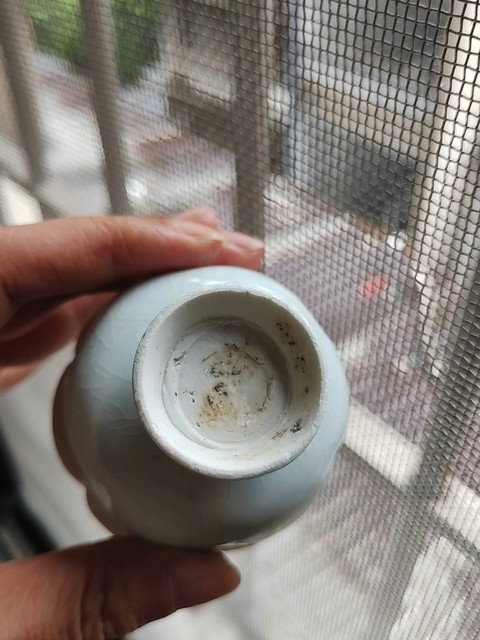 古玩陶瓷湖田窯青白釉花口杯真品鑒賞圖