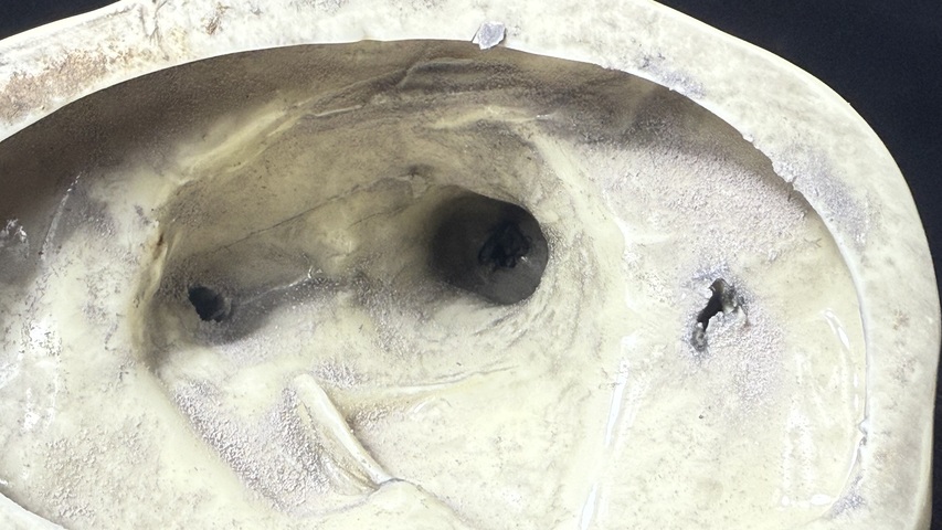 古玩陶瓷德化白瓷羅漢雕塑真品鑒賞圖