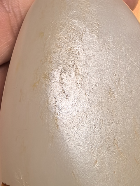 古玩玉器天然和田玉籽料雕件真品鑒賞圖