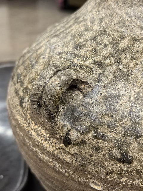 古玩陶瓷青釉雙耳壺真品鑒賞圖