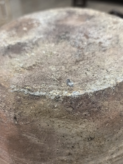 古玩陶瓷青釉雙耳壺真品鑒賞圖