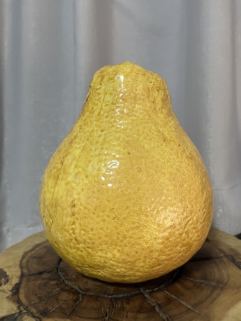 古玩陶瓷黃釉柚子擺件拍賣，當前價格888元
