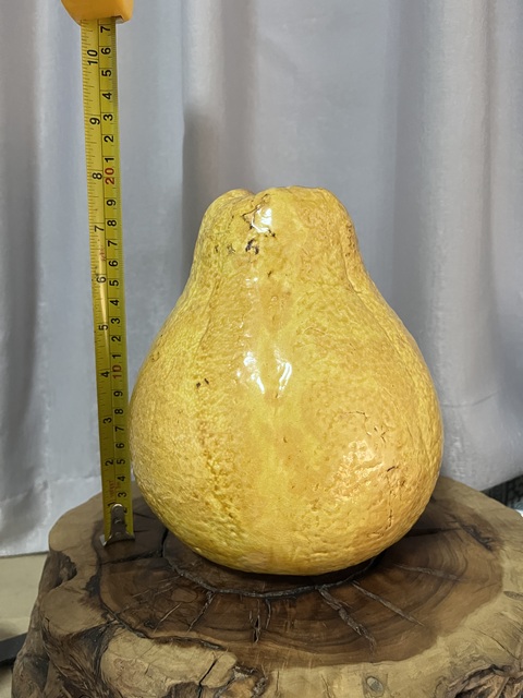 古玩陶瓷黃釉柚子擺件拍賣，當前價格888元