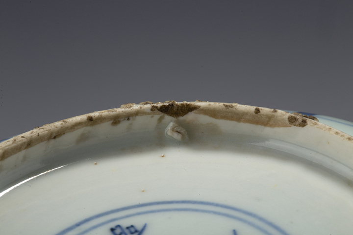 古玩陶瓷明晚·長命富貴款 青花花蝶紋花口盤
真品鑒賞圖