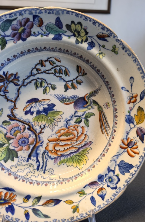 古玩陶瓷花鳥紋斗彩盤真品鑒賞圖